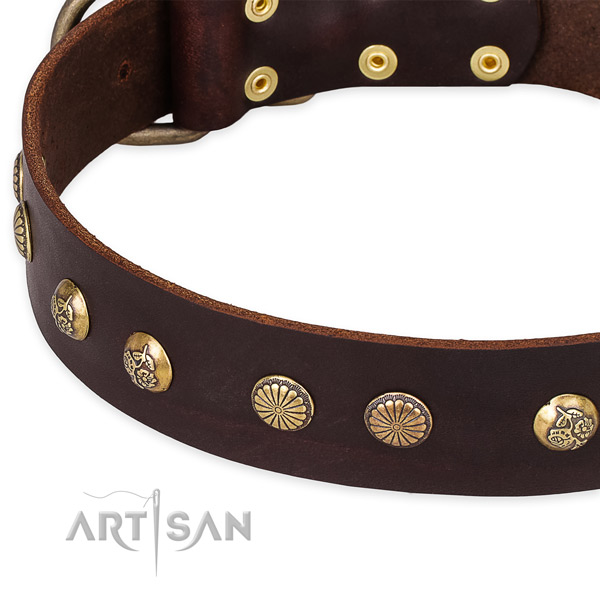 Full grain natural leather collar with corrosion resistant hardware for your stylish canine