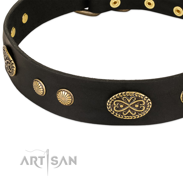 Corrosion resistant fittings on leather dog collar for your canine