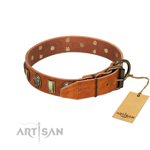 Genuine leather dog collar with rust resistant traditional buckle and studs