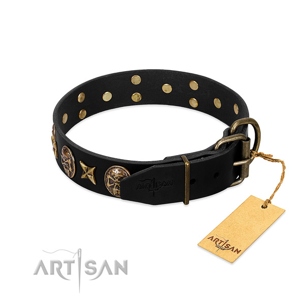 Corrosion resistant embellishments on full grain leather dog collar for your pet