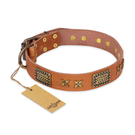 "Cosmic Traveller" FDT Artisan Adorned Leather Mastiff Collar with Old Bronze-Plated Stars and Plates "Cosmic Traveller" FDT Artisan Adorned Leather Mastiff Collar with Old Bronze-Plated Stars and Plates
