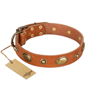 "Visual Magic" FDT Artisan Tan Leather Mastiff Collar for Daily Activities