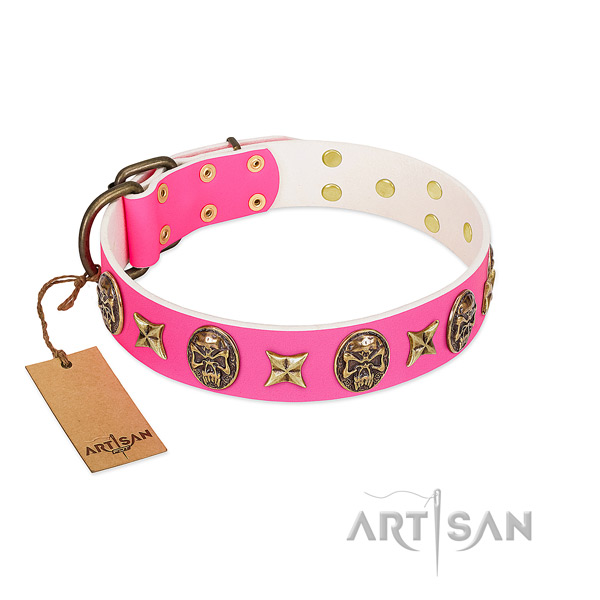 Stunning full grain natural leather dog collar for stylish walking