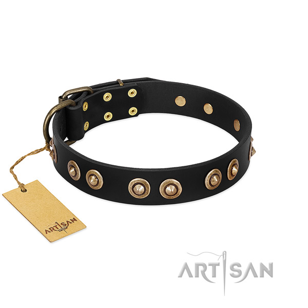 Corrosion proof fittings on natural genuine leather dog collar for your doggie