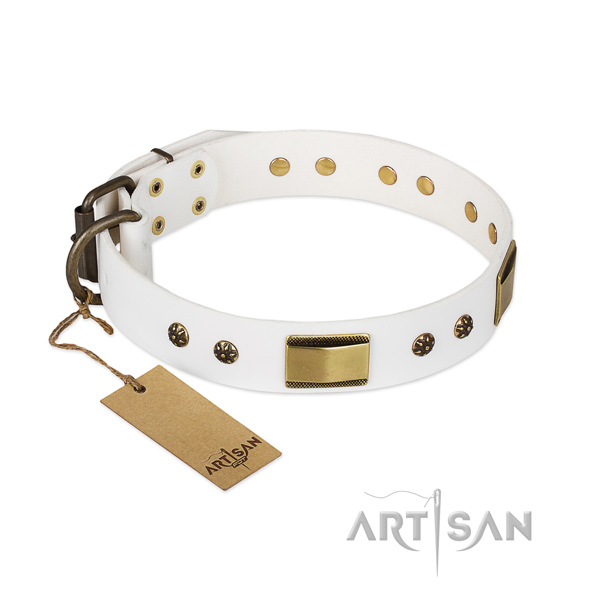Stunning full grain leather collar for your four-legged friend