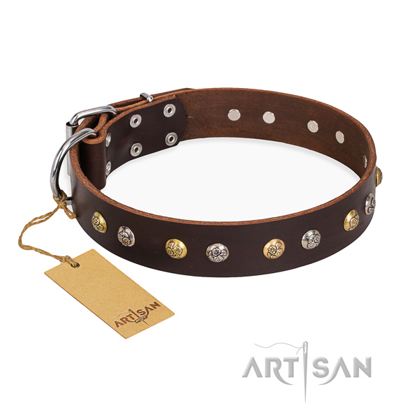Walking convenient dog collar with strong fittings