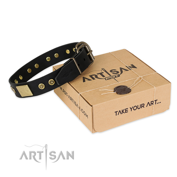 Corrosion resistant D-ring on full grain leather dog collar for comfortable wearing