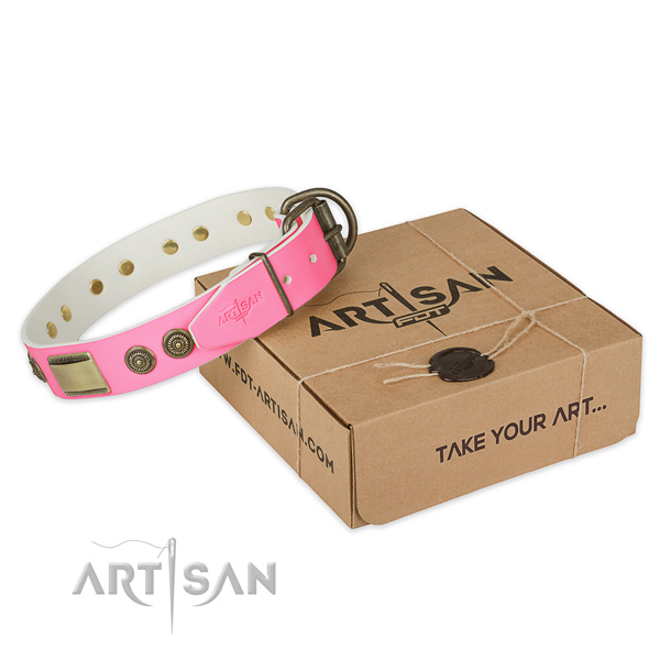 Corrosion resistant buckle on dog collar for daily walking