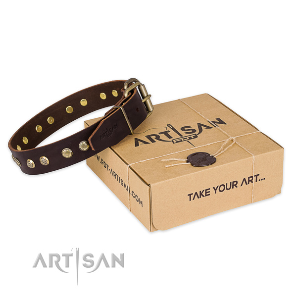 Corrosion resistant fittings on full grain leather collar for your handsome canine