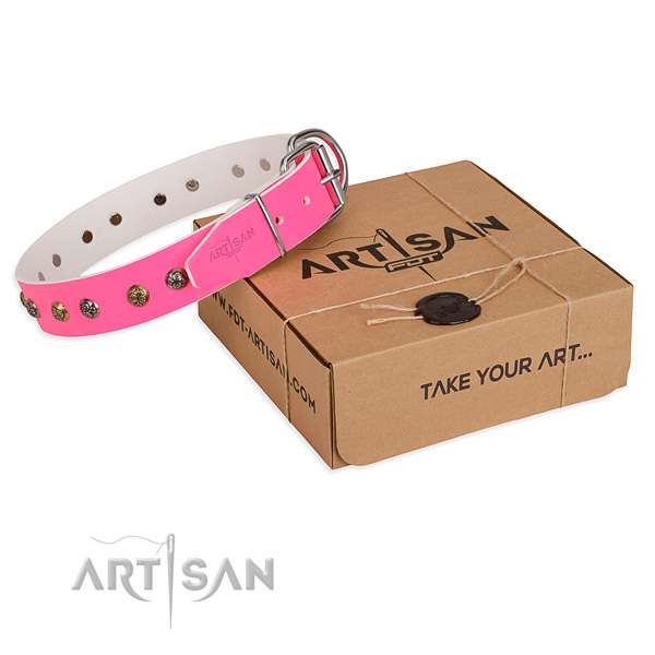 Daily walking dog collar with Incredible strong adornments