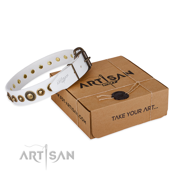 Best quality genuine leather dog collar created for fancy walking