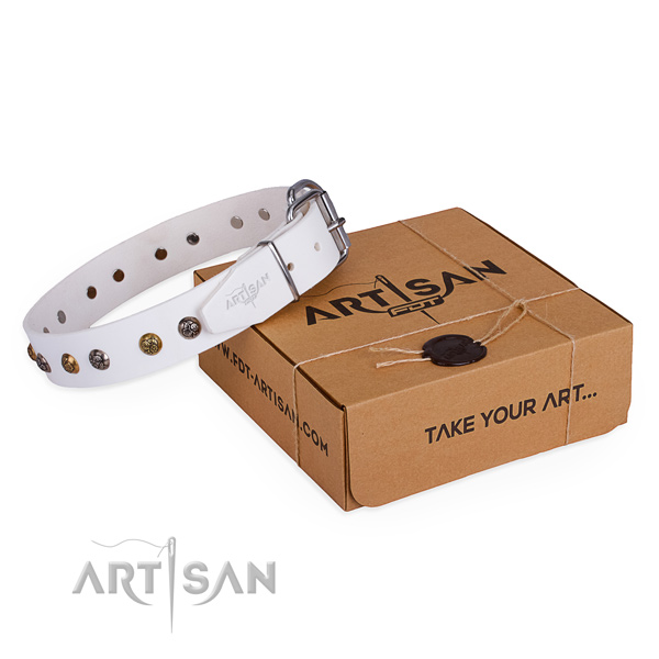 Everyday use dog collar with Extraordinary reliable adornments