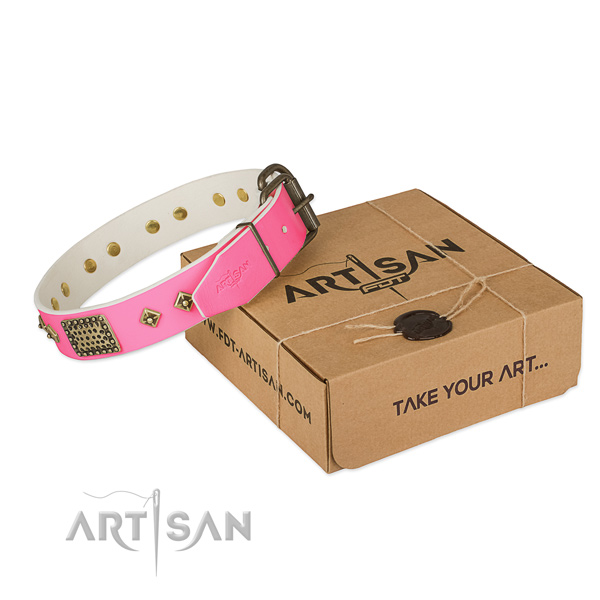 Reliable fittings on dog collar for daily walking