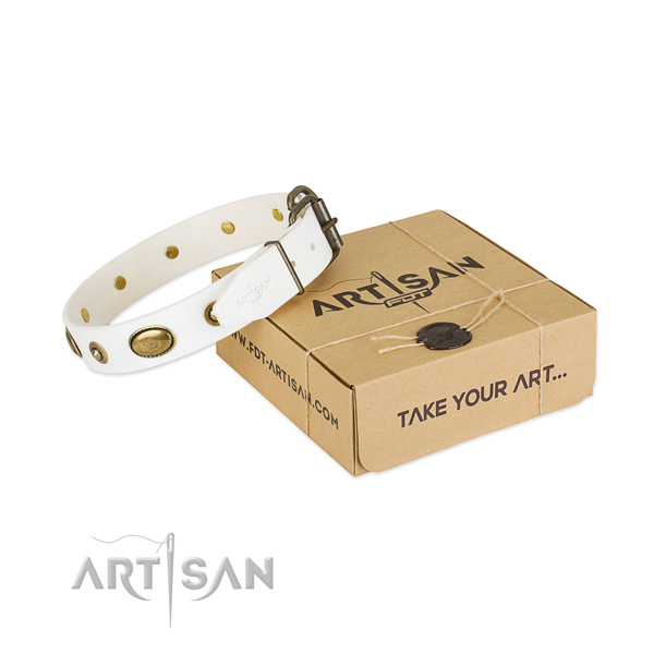 Stunning full grain leather collar for your beautiful pet