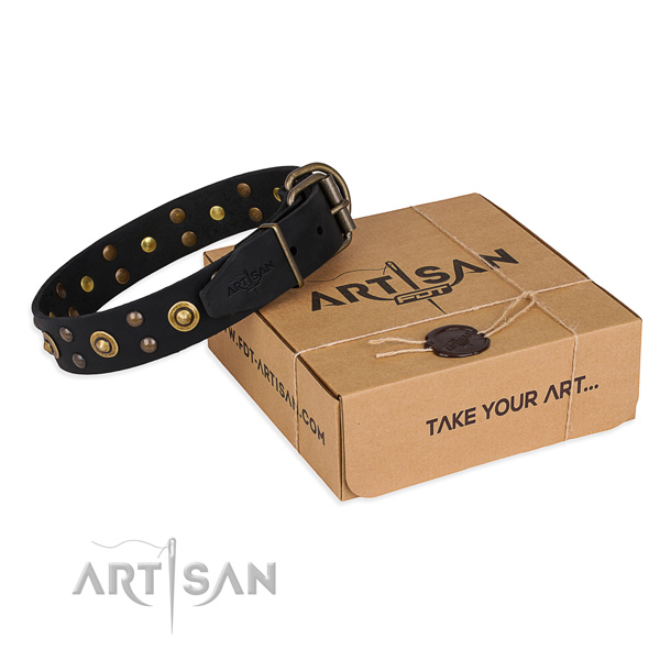 Corrosion proof traditional buckle on genuine leather collar for your beautiful four-legged friend