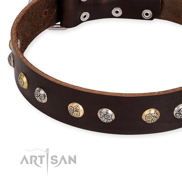 Natural genuine leather dog collar with incredible strong embellishments