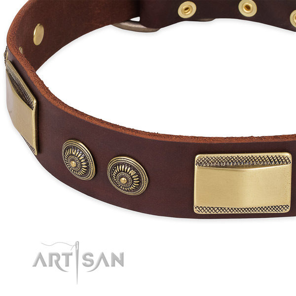 Corrosion proof decorations on full grain genuine leather dog collar for your doggie