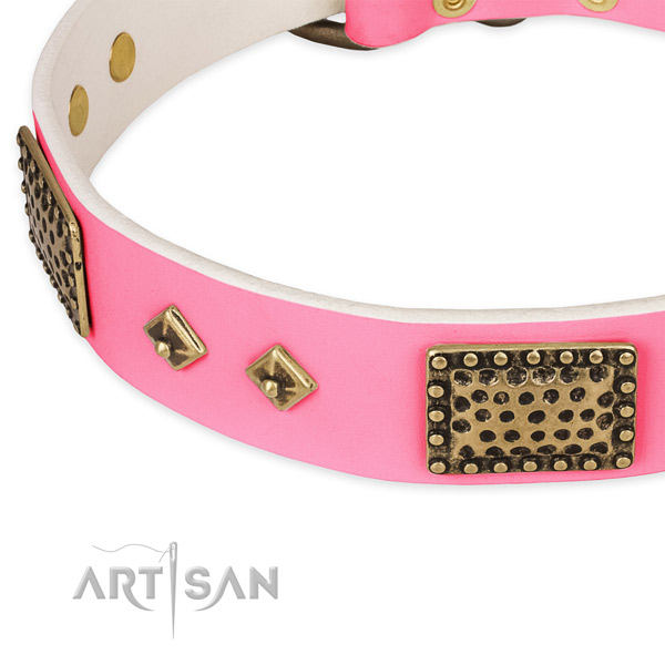 Natural genuine leather dog collar with embellishments for everyday walking