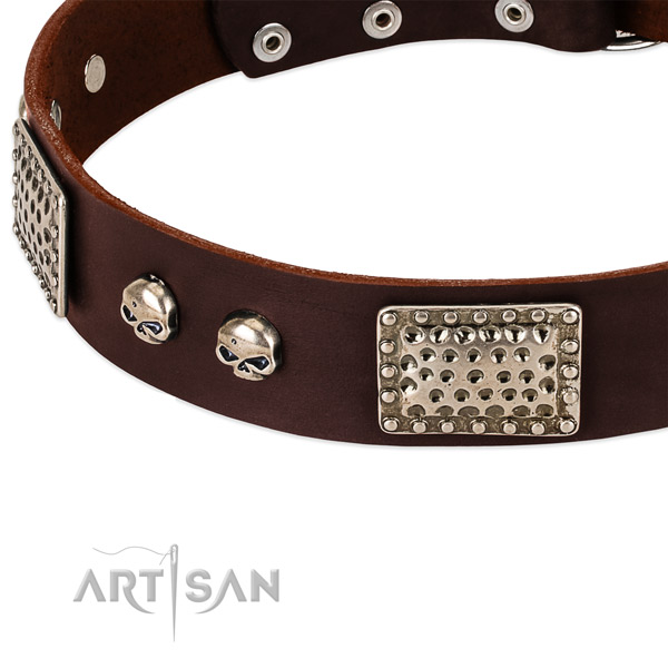 Strong traditional buckle on full grain natural leather dog collar for your dog