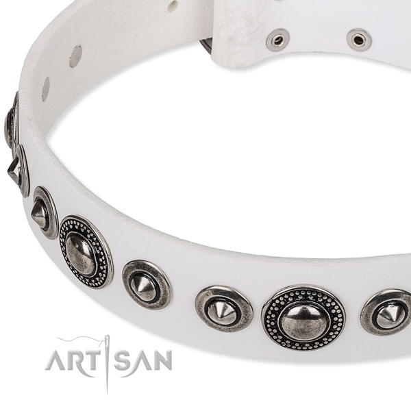 Easy wearing decorated dog collar of top notch full grain natural leather