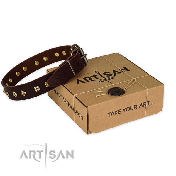 Rust resistant buckle on genuine leather dog collar for walking