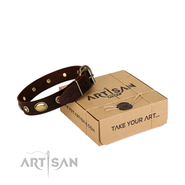 Rust resistant fittings on natural leather dog collar for your pet