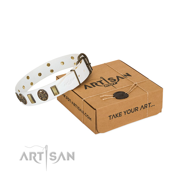 Strong traditional buckle on natural genuine leather dog collar for daily use