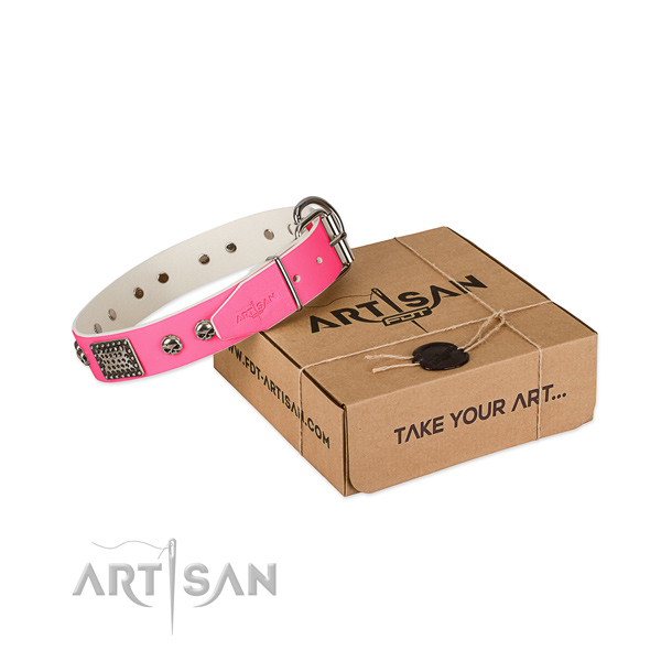 Rust-proof fittings on dog collar for daily use
