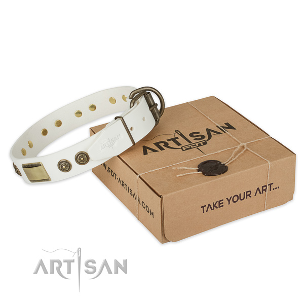 Rust resistant traditional buckle on natural genuine leather dog collar for comfy wearing