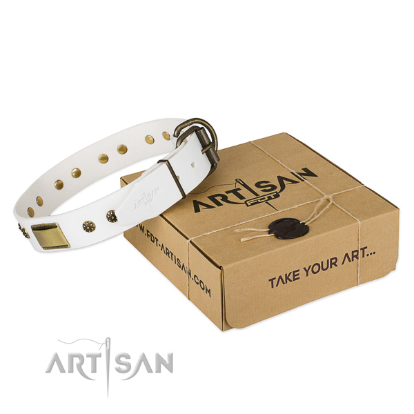 Fashionable full grain genuine leather collar for your lovely dog