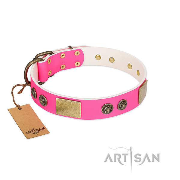 Easy to adjust full grain leather dog collar for daily walking
