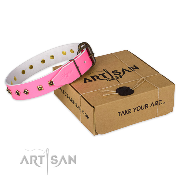 Corrosion resistant fittings on full grain genuine leather dog collar for everyday walking