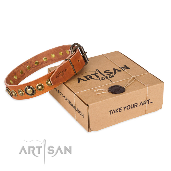 High quality full grain natural leather dog collar made for stylish walking