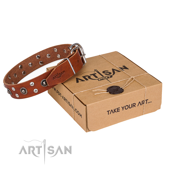 Corrosion resistant hardware on leather collar for your attractive pet