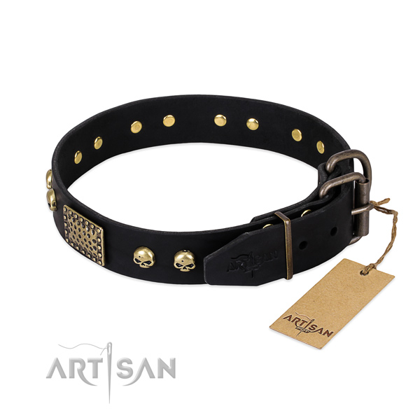 Durable fittings on handy use dog collar