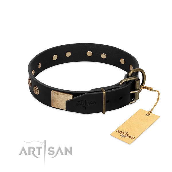 Corrosion resistant adornments on basic training dog collar