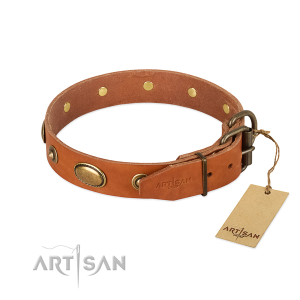 Durable adornments on full grain natural leather dog collar for your four-legged friend