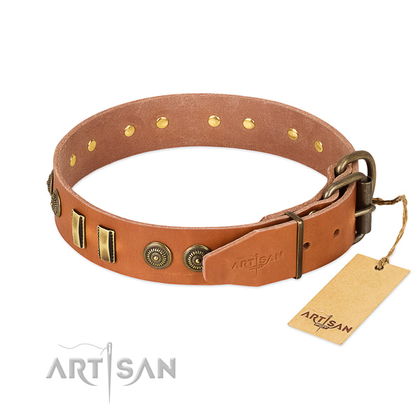 Strong traditional buckle on full grain natural leather dog collar for your pet