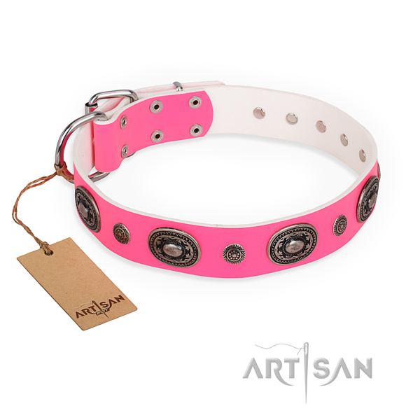 Durable leather dog collar created for walking