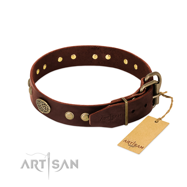 Rust-proof studs on leather dog collar for your pet