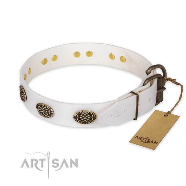 Corrosion resistant hardware on full grain natural leather collar for stylish walking your four-legged friend