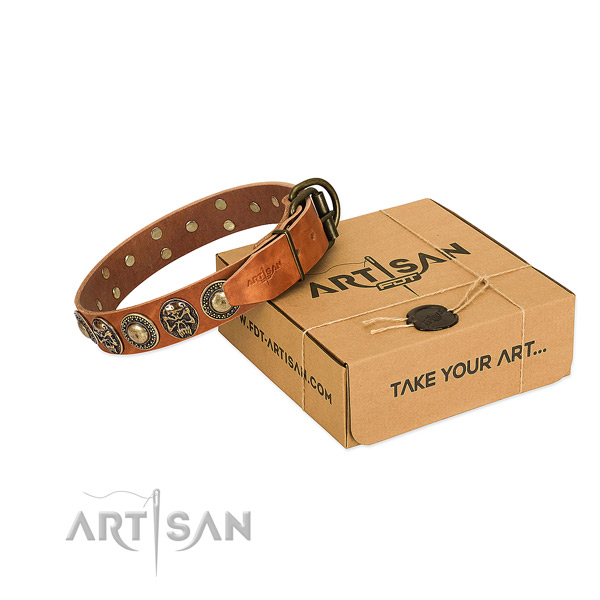 Reliable hardware on dog collar for everyday use