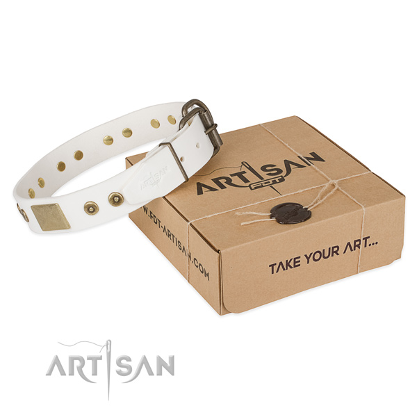 Convenient full grain natural leather collar for your stylish dog