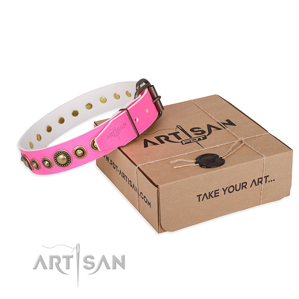 Durable leather dog collar crafted for basic training