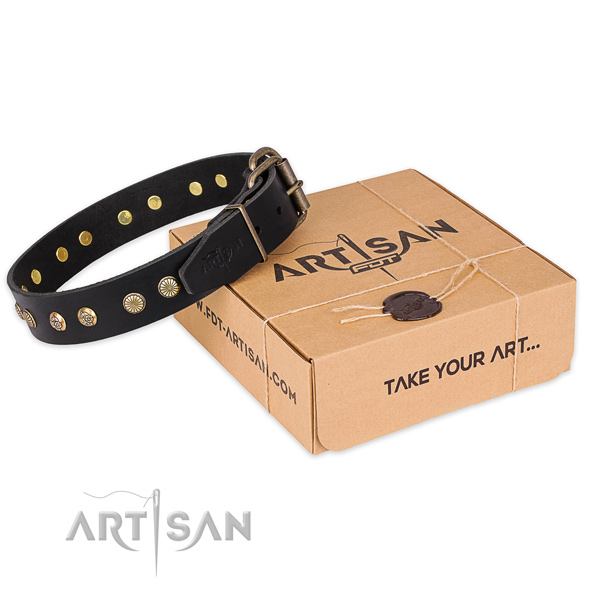 Durable D-ring on natural genuine leather collar for your attractive four-legged friend