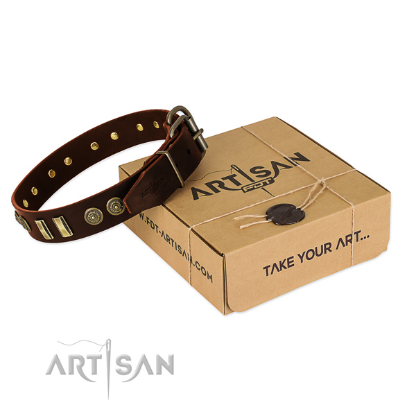 Corrosion proof decorations on full grain leather dog collar for your four-legged friend