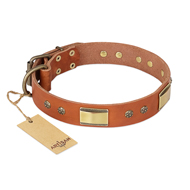 "Enchanting Spectacle" FDT Artisan Tan Leather Mastiff Collar with Old Bronze Look Plates and Round Studs "Enchanting Spectacle" FDT Artisan Tan Leather Mastiff Collar with Old Bronze Look Plates and Round Studs