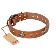 "Stunning Dress" FDT Artisan Tan Leather Mastiff Collar with Old Bronze Look Plates and Studs
