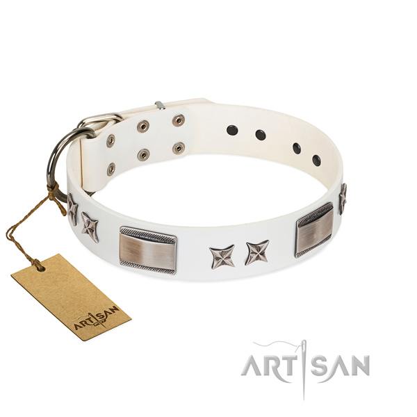 Exquisite dog collar of genuine leather