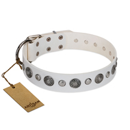 "Fluff-Stuff Beauty" FDT Artisan White Leather Mastiff Collar with Silver-like Studs and Conchos "Fluff-Stuff Beauty" FDT Artisan White Leather Mastiff Collar with Silver-like Studs and Conchos